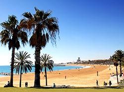 Firmatur til Barcelona og avslapning på stranda